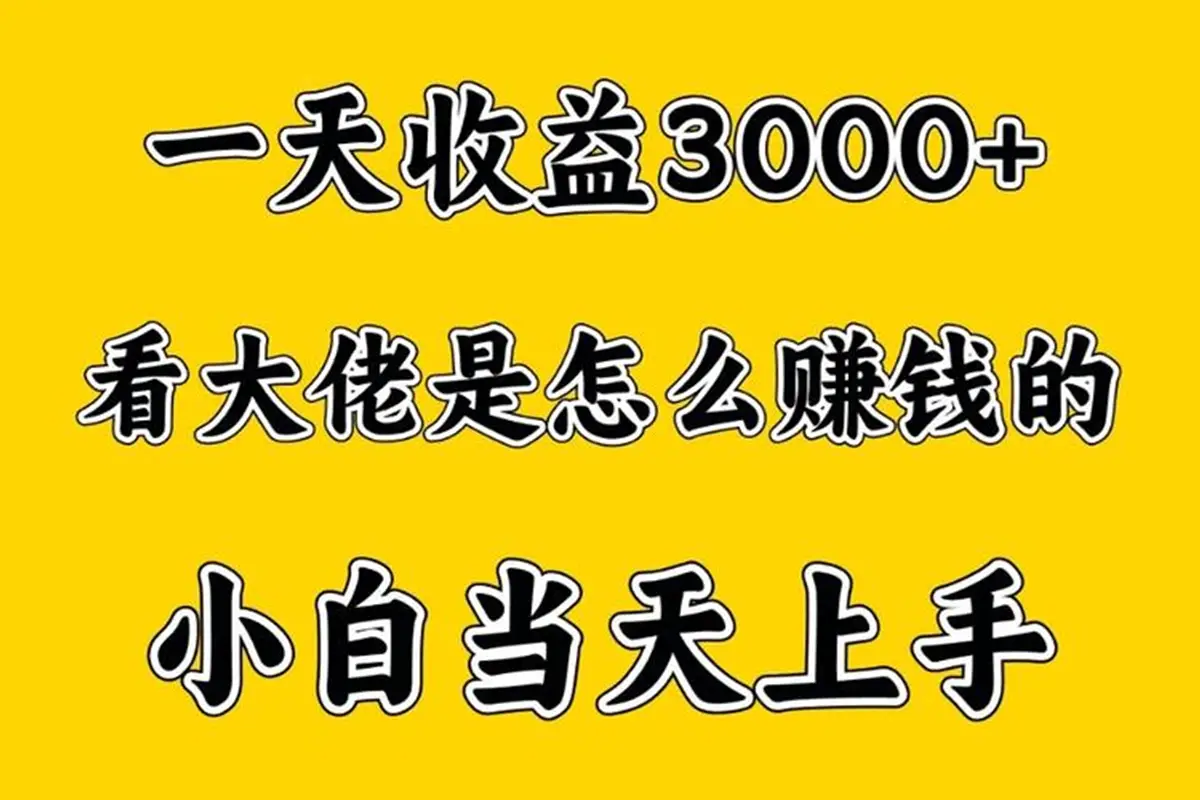 88个精选赚钱项目揭秘，看大佬如何赚钱