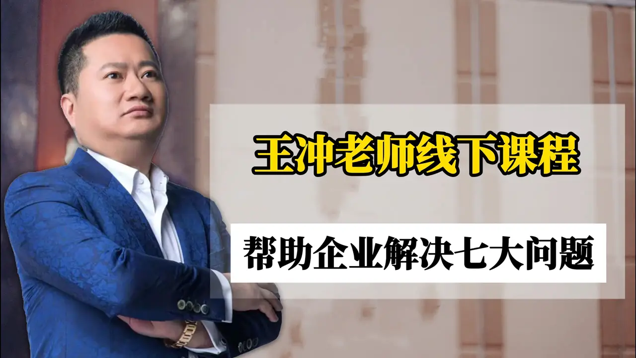 王冲商业模式课全套，王冲电子版书籍