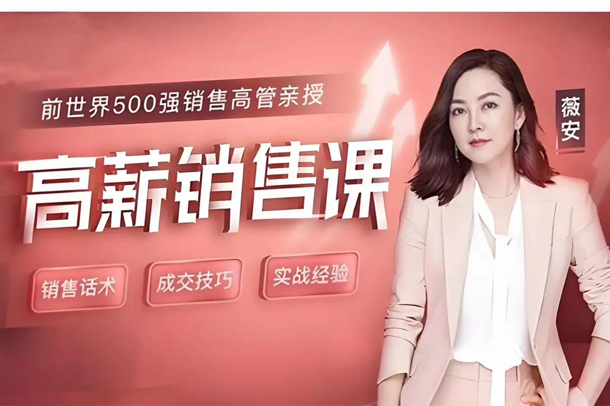 薇安28天销售高手训练营（完结）