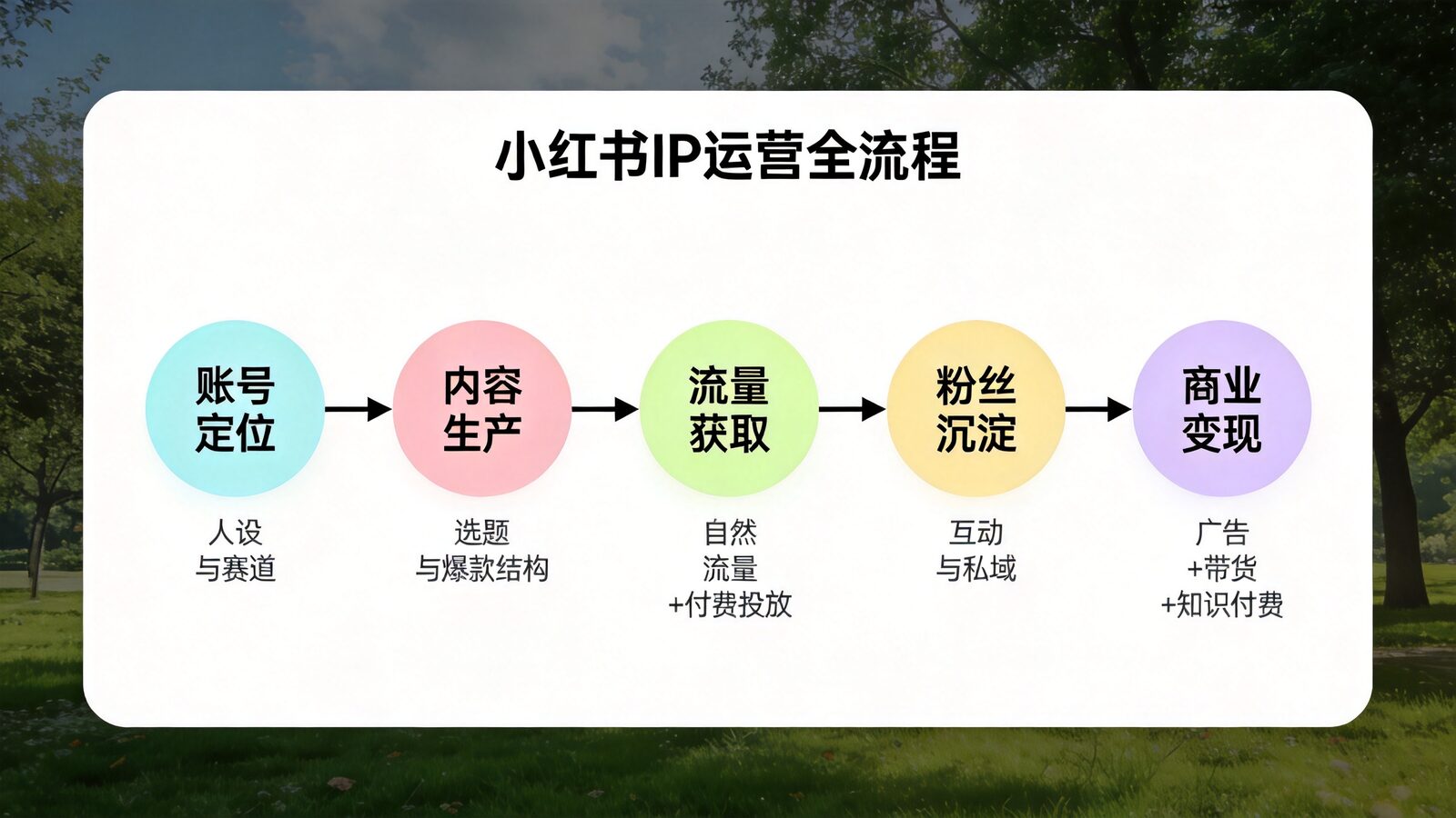 小红书IP运营全流程示意图